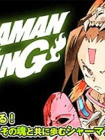 SHAMAN KING ～シャーマンキング～ KC完結版 (Raw – Free)漫画